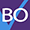 BO-def-icone - RiskInsight