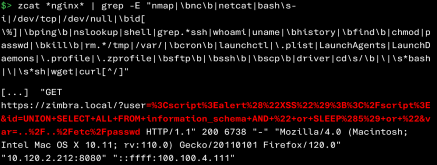 Récupération des tentatives d’exploitation web (nginx.log-nginx.access.log)
