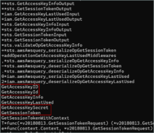 AWS IAM and STS credential handling logic within the Terraform malicious binary