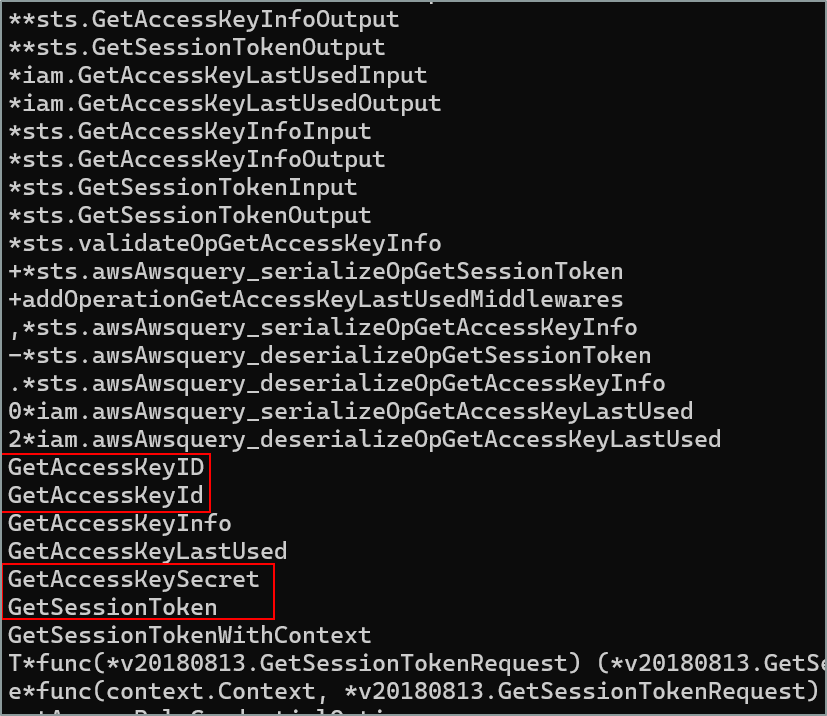 Logique de gestion des identifiants AWS IAM et STS dans le binaire Terraform malveillant